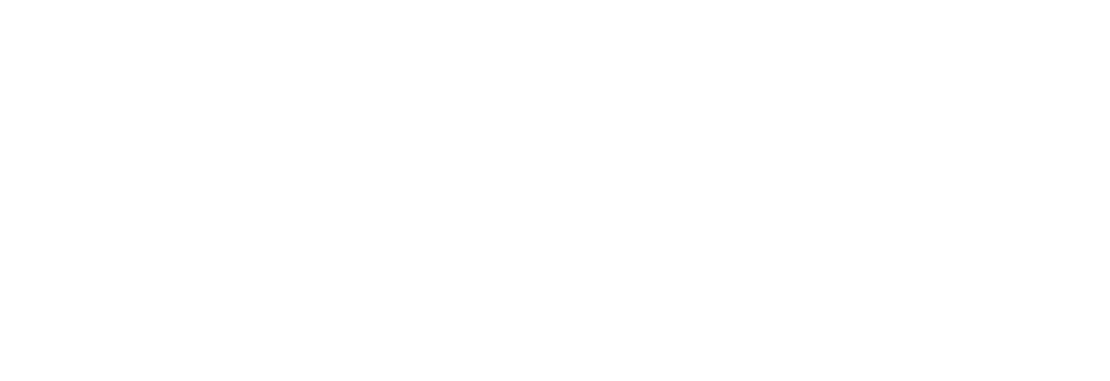 animonyenterprises.com