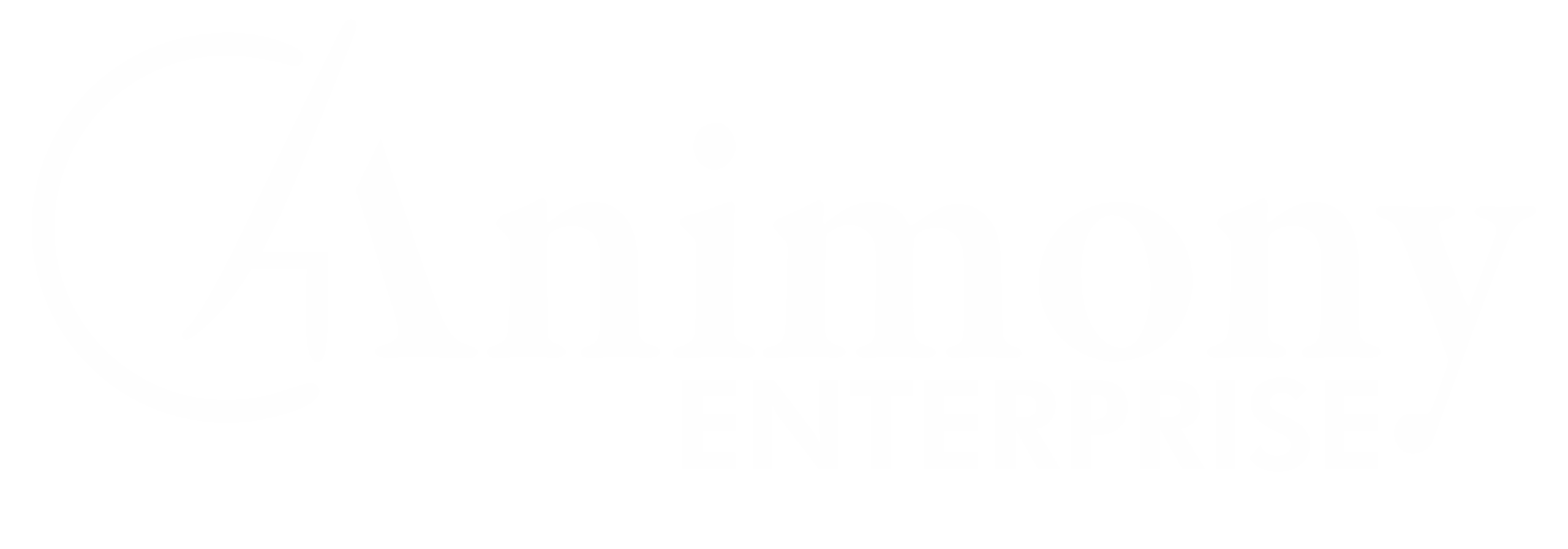 animonyenterprises.com